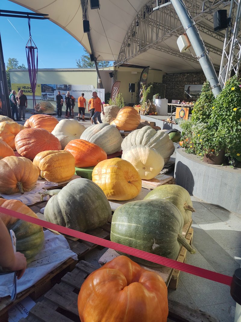 IMG_20261003_160249688_HDR
