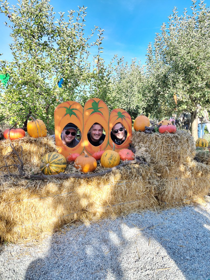 IMG_20261003_153813955_HDR